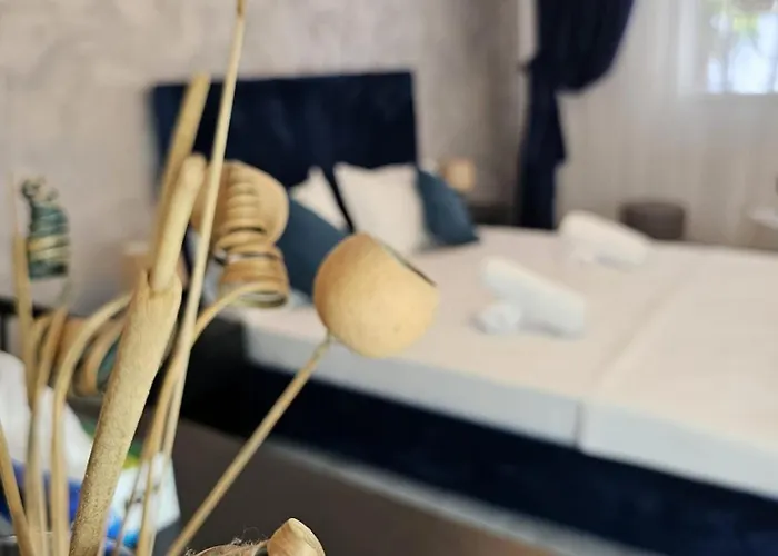 Bed and Breakfast 89 Boutique